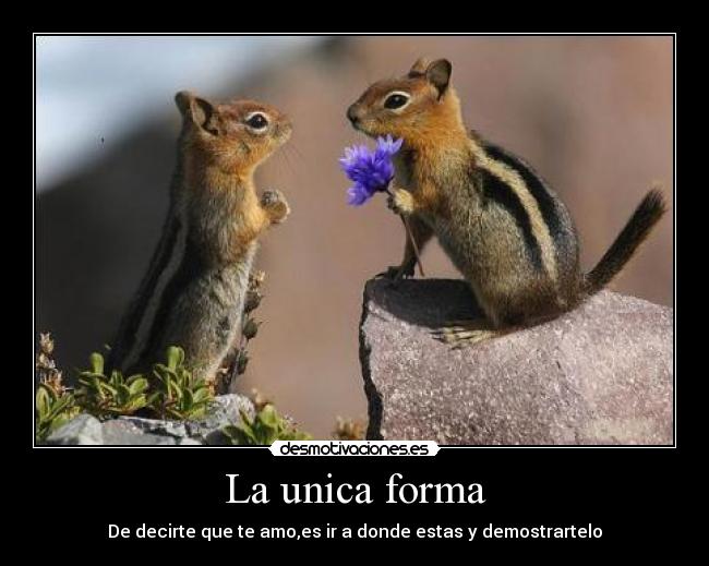 La unica forma - De decirte que te amo,es ir a donde estas y demostrartelo