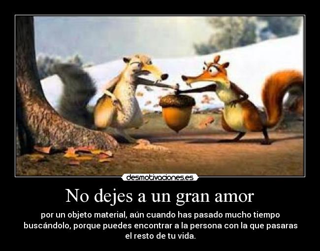 carteles amor encontrar amor ardillas desmotivaciones