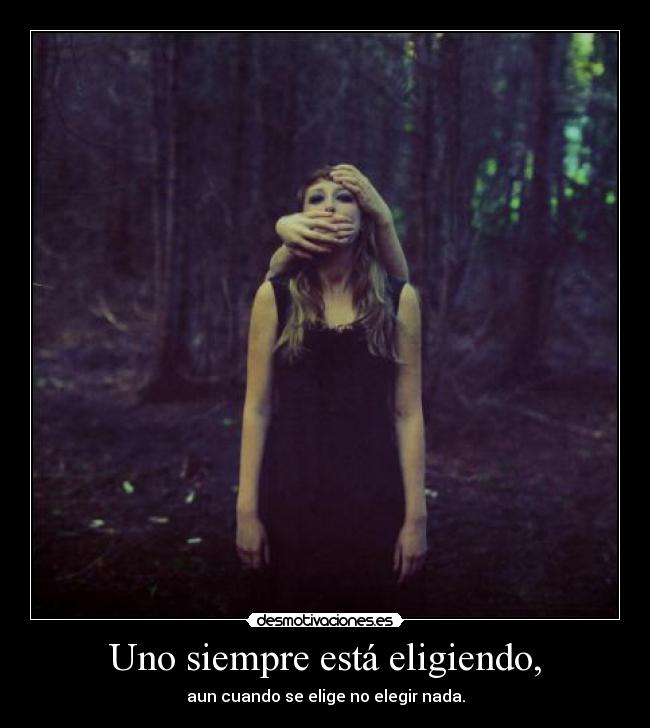 carteles elegir purr not purr dis kestian exitoo desmotivaciones