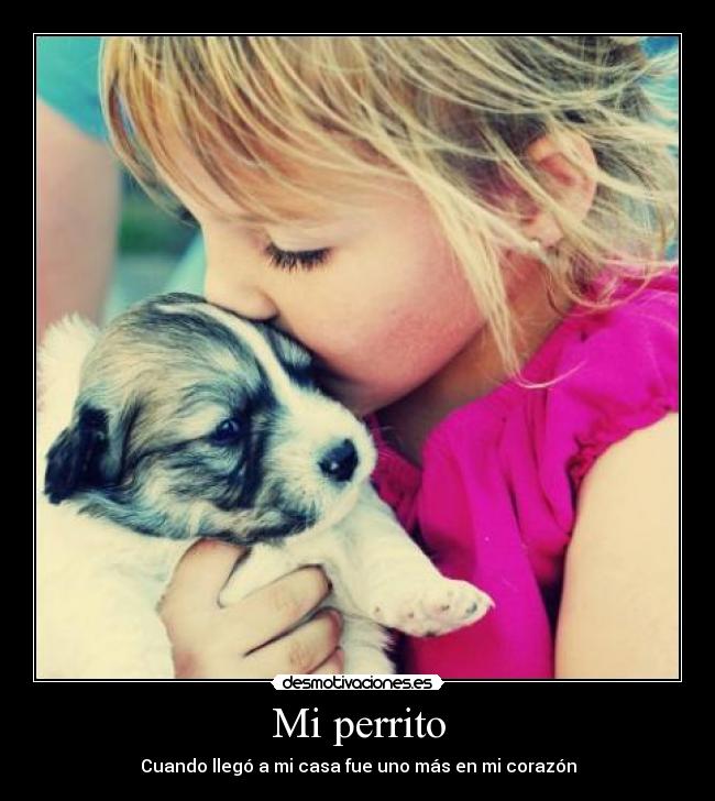 Mi perrito - Cuando llegó a mi casa fue uno más en mi corazón