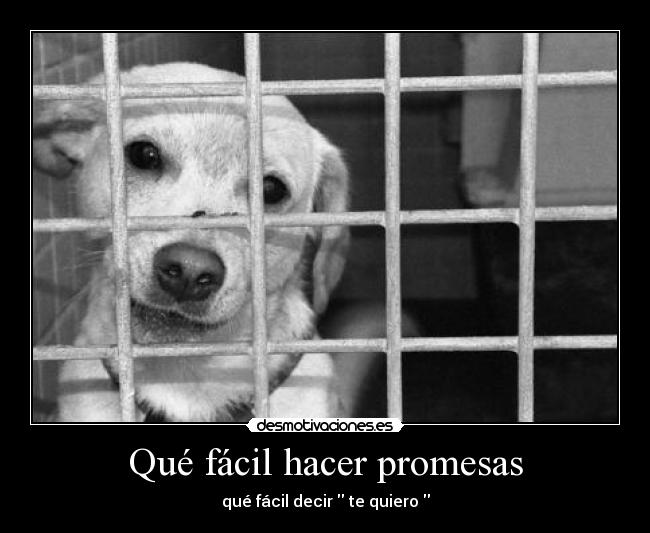 carteles promesas que facil todo desmotivaciones