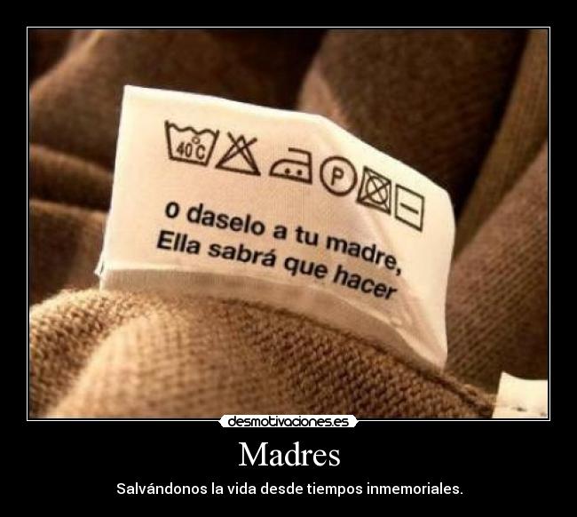 carteles tendrian que llevar las madres descifrar jeroglificos egipto trololo desmotivaciones