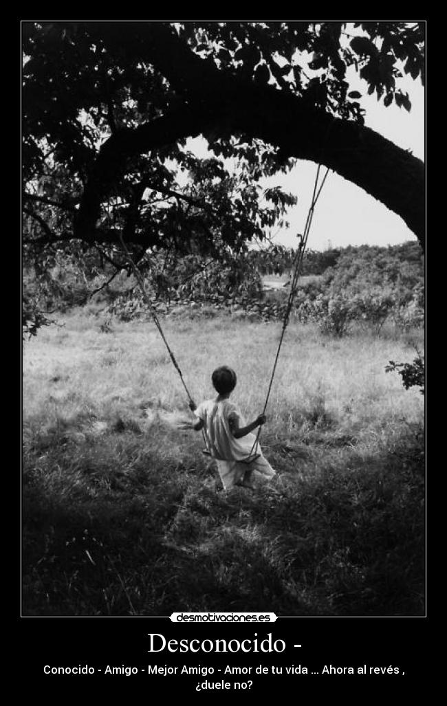 carteles wdwd desmotivaciones