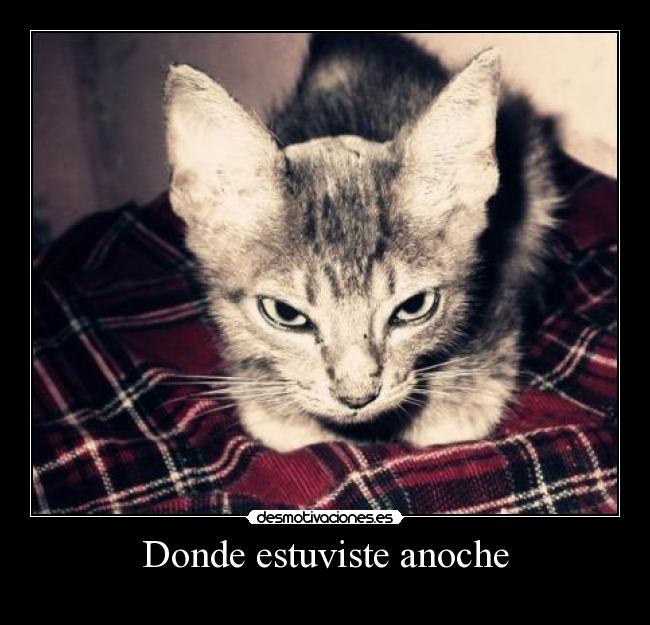 Donde estuviste anoche - 