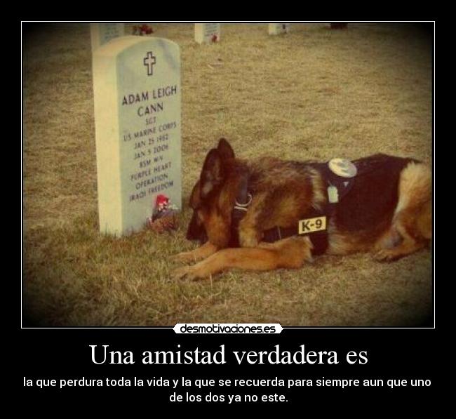 Una amistad verdadera es - la que perdura toda la vida y la que se recuerda para siempre aun que uno 
de los dos ya no este.