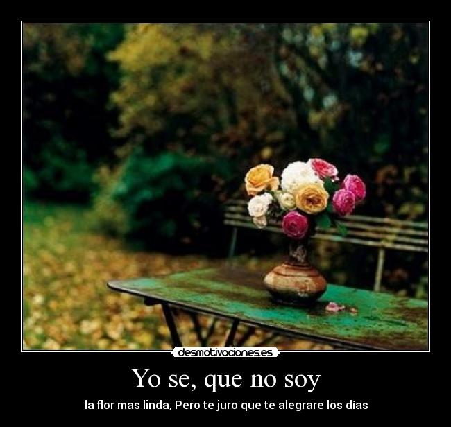Yo se, que no soy -
