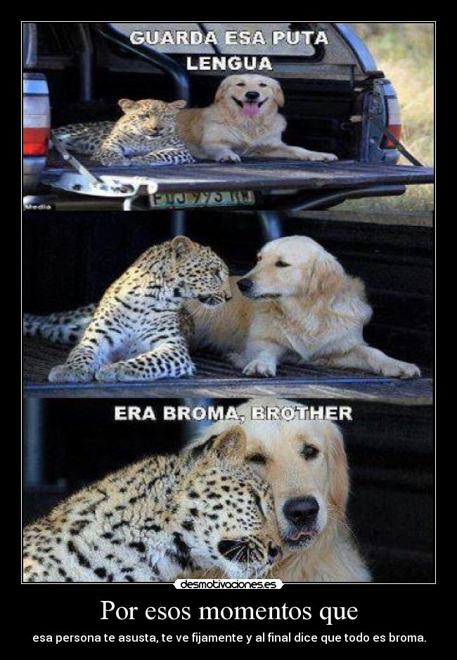 Por esos momentos que - esa persona te asusta, te ve fijamente y al final dice que todo es broma.