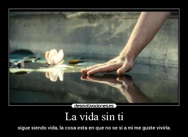 La vida sin ti -