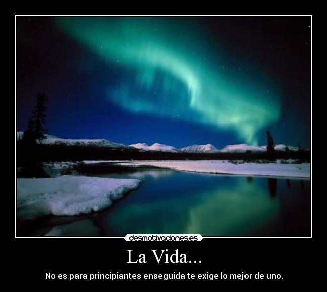 La Vida... - 