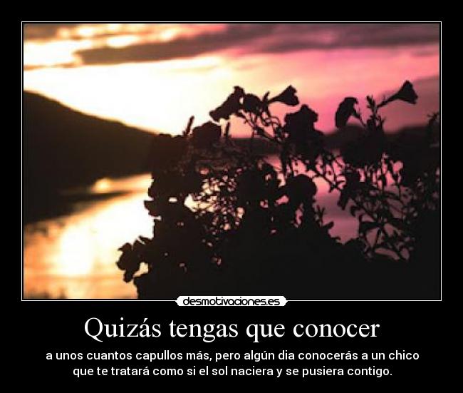 Quizás tengas que conocer - 