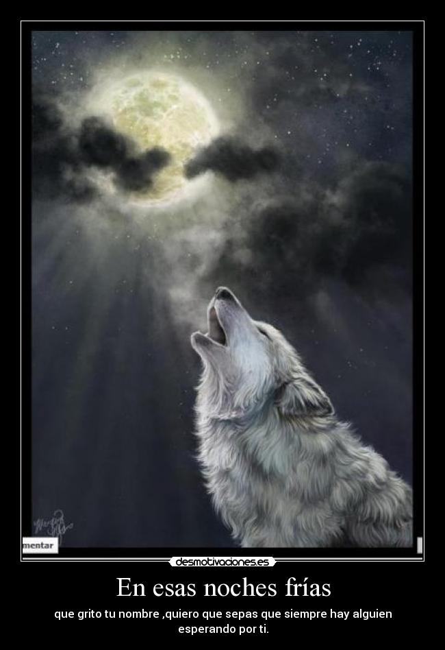 En esas noches frías - que grito tu nombre ,quiero que sepas que siempre hay alguien esperando por ti.