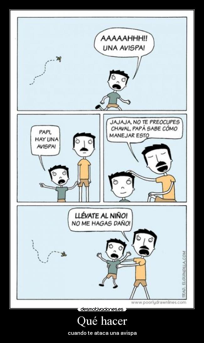 Qué hacer - cuando te ataca una avispa