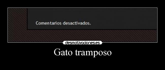 Gato tramposo -