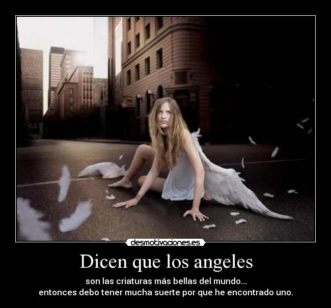 carteles mariposa74 desmotivaciones