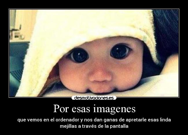 carteles search desmotivaciones