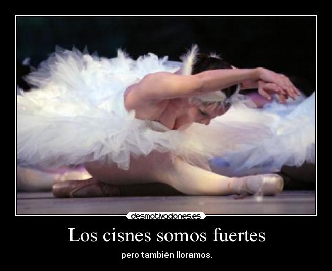 Los cisnes somos fuertes - pero también lloramos.