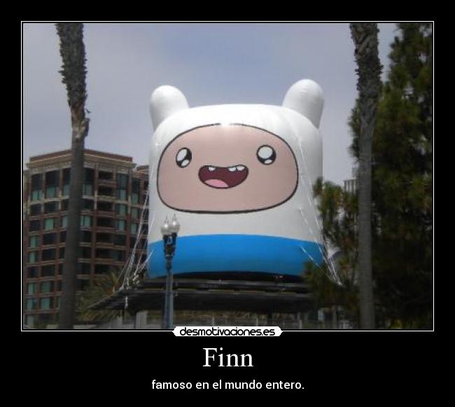 Finn -