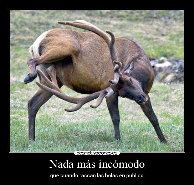 Nada más incómodo -