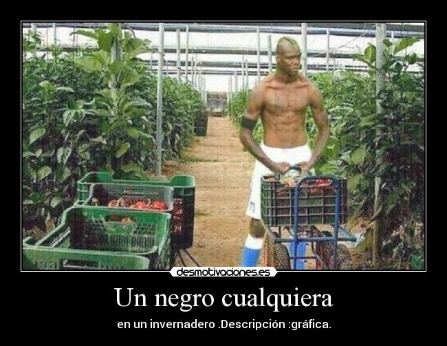 Un negro cualquiera - en un invernadero .Descripción :gráfica.