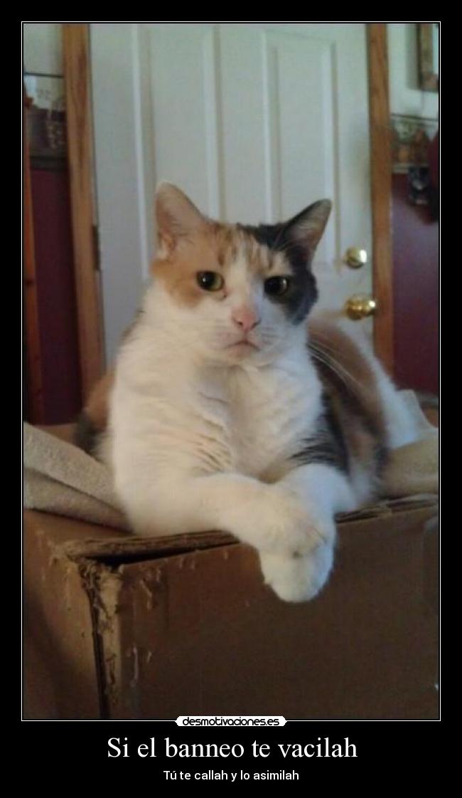 Si el banneo te vacilah - Tú te callah y lo asimilah