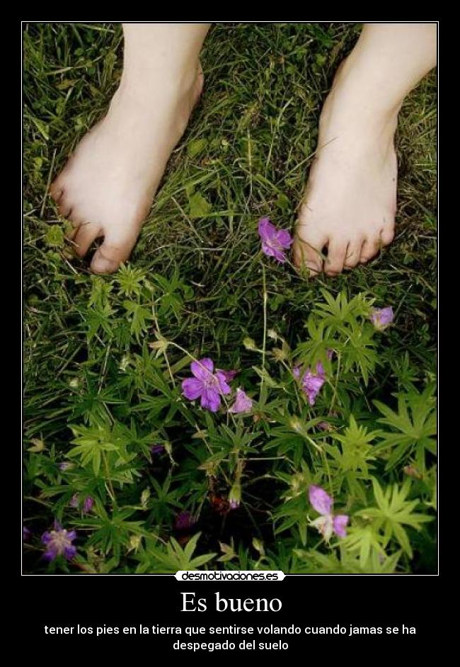 Es bueno - tener los pies en la tierra que sentirse volando cuando jamas se ha
despegado del suelo