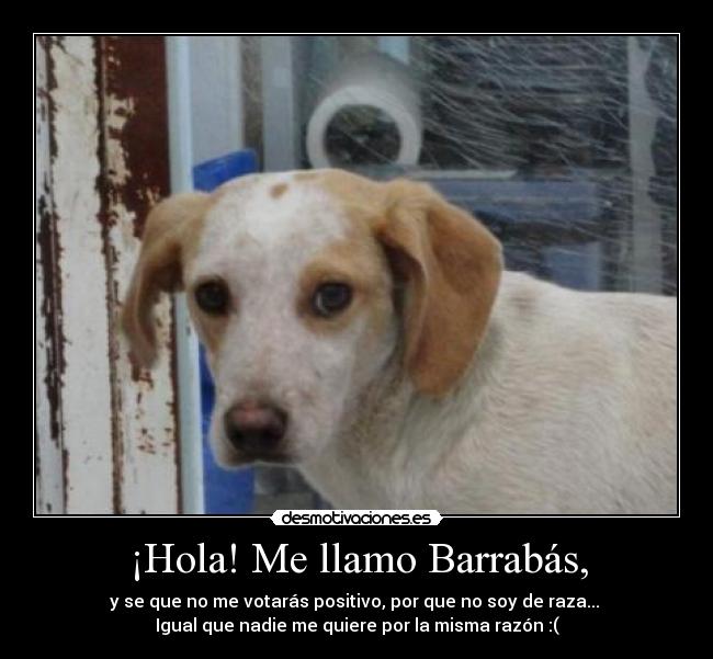 ¡Hola! Me llamo Barrabás, - 