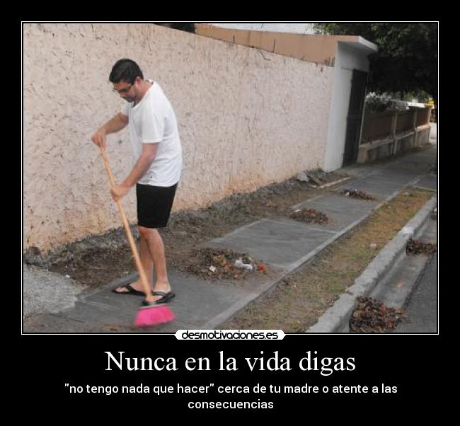 Nunca en la vida digas -