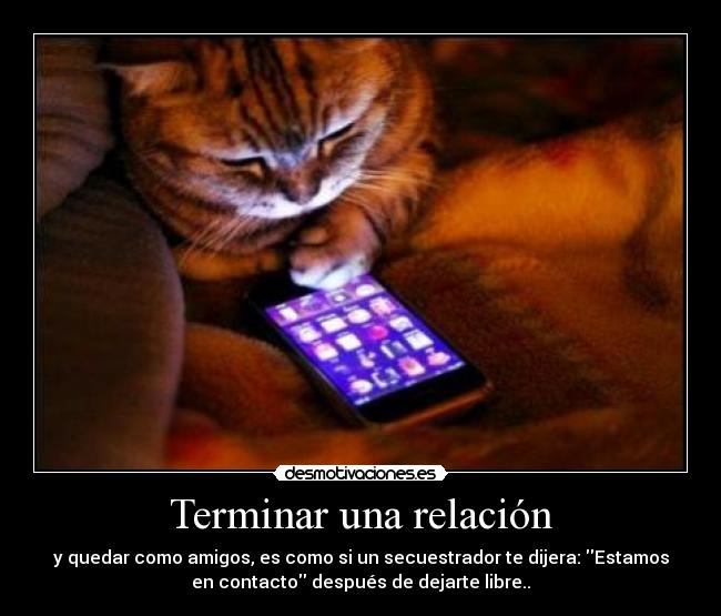 carteles pienso desmotivaciones