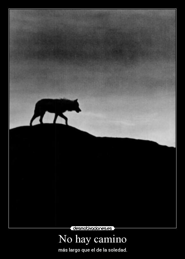 carteles dreadja mola pero dreadk mola mas desmotivaciones