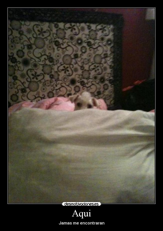 Aqui - Jamas me encontraran