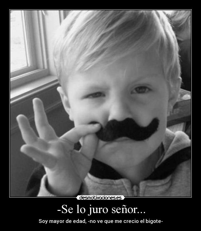 -Se lo juro señor... -