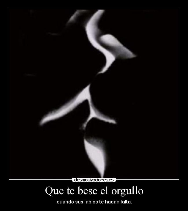 carteles orgullo desmotivaciones