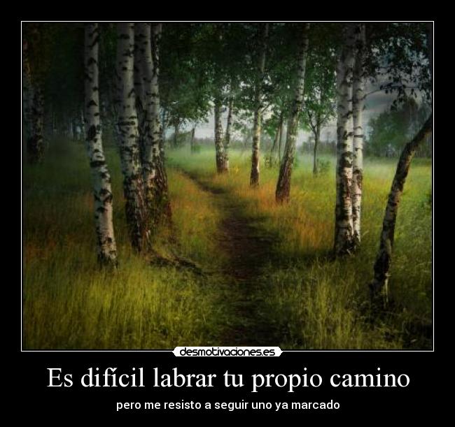 carteles camino desmotivaciones