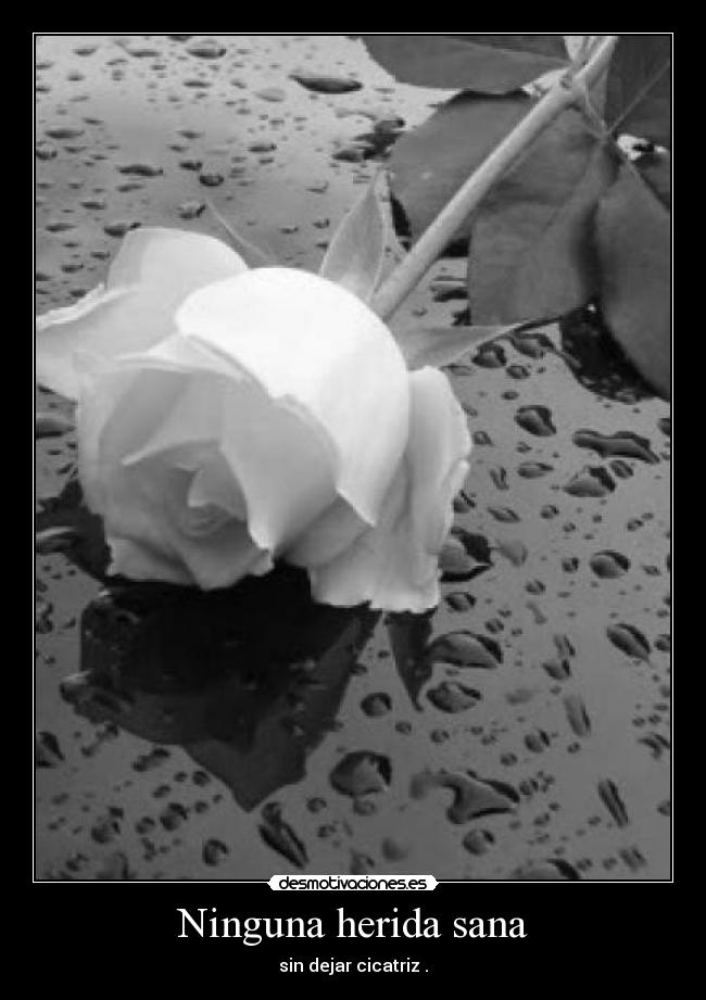 carteles facundo1 desmotivaciones