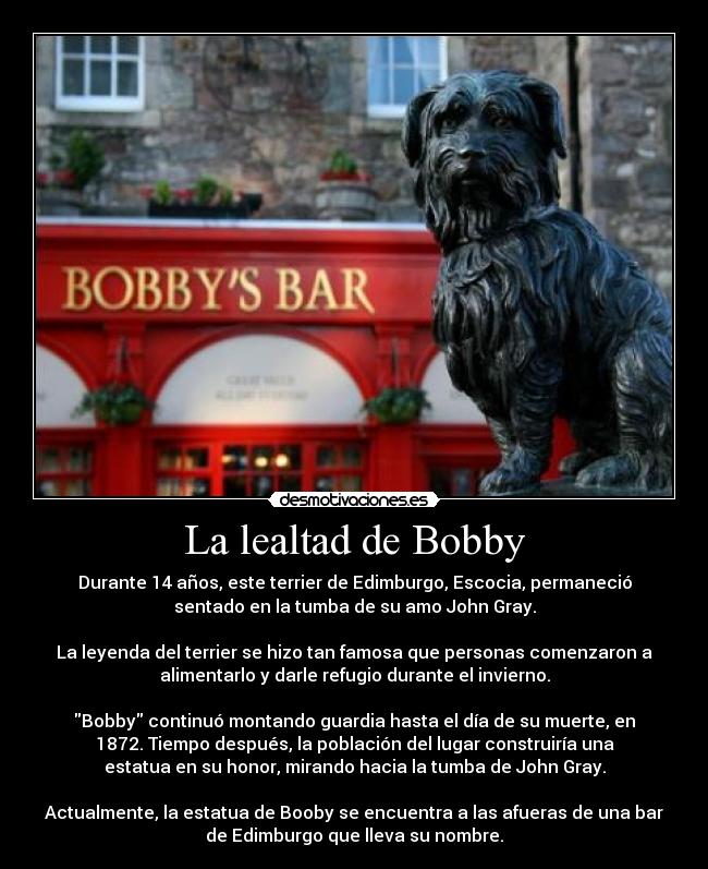 La lealtad de Bobby -