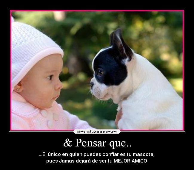 carteles amigo desmotivaciones