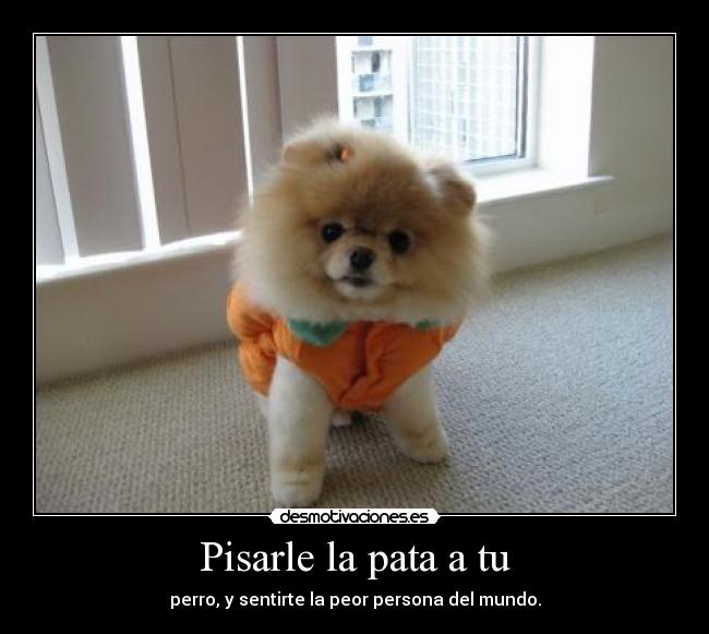 Pisarle la pata a tu - 