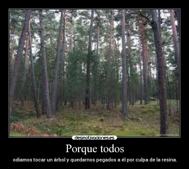 Porque todos - odiamos tocar un árbol y quedarnos pegados a él por culpa de la resina.