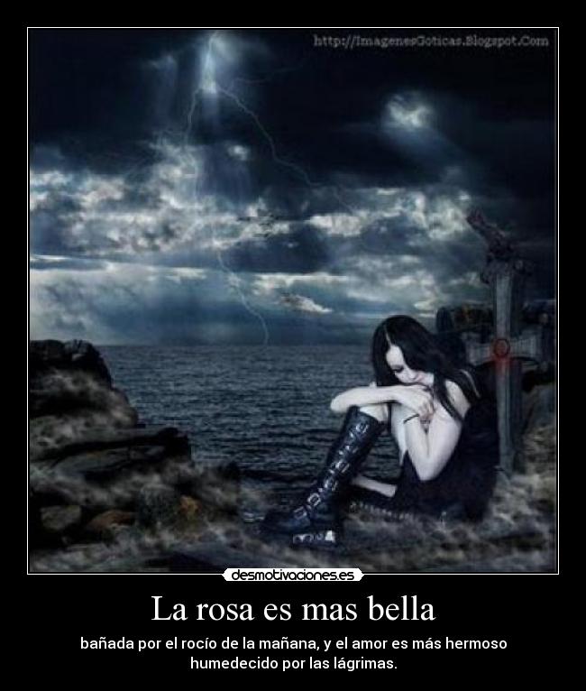 La rosa es mas bella - bañada por el rocío de la mañana, y el amor es más hermoso
humedecido por las lágrimas.