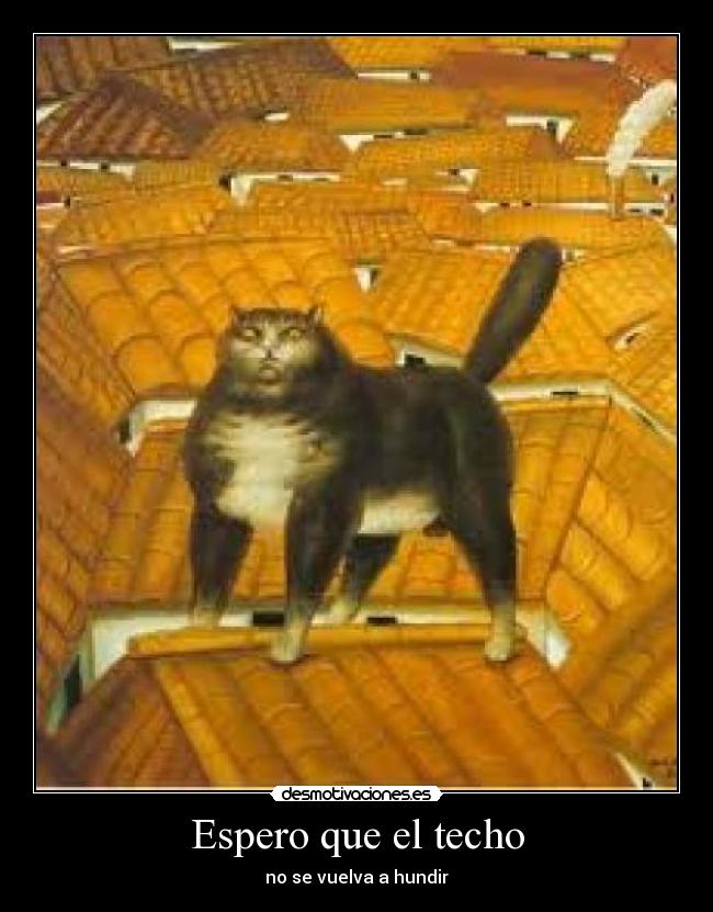 Espero que el techo -
