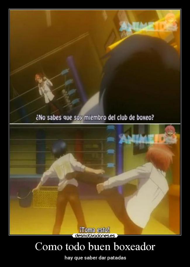 Como todo buen boxeador -