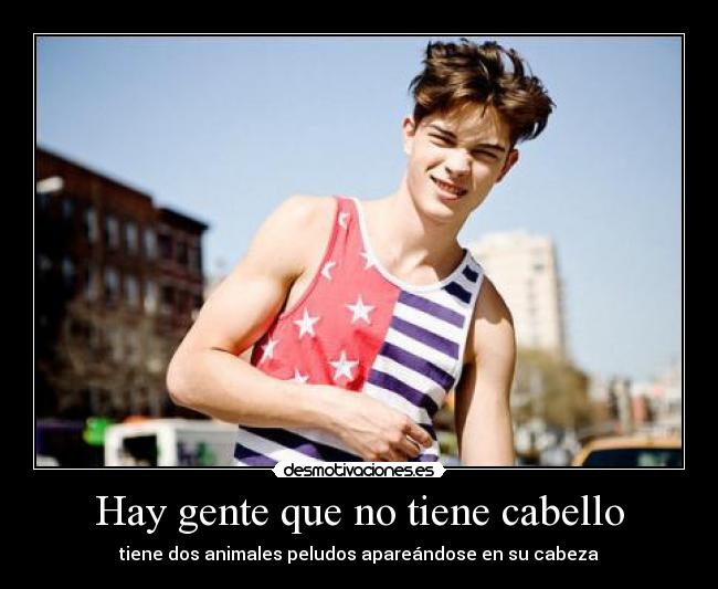 Hay gente que no tiene cabello - tiene dos animales peludos apareándose en su cabeza