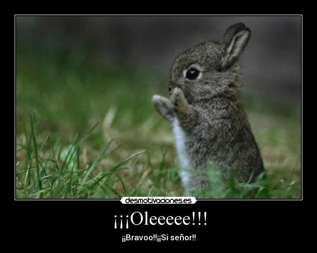 ¡¡¡Oleeeee!!! - ¡¡Bravoo!!¡¡Si señor!!