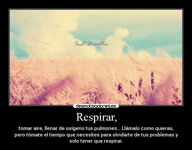 Respirar, - tomar aire, llenar de oxígeno tus pulmones... Llámalo como quieras,
pero tómate el tiempo que necesites para olvidarte de tus problemas y
solo tener que respirar.