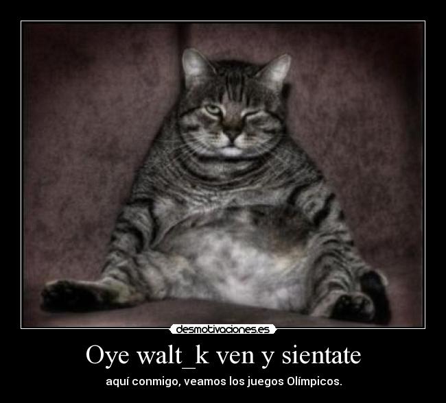Oye walt_k ven y sientate - 