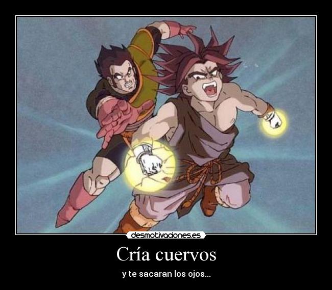 carteles br0ly desmotivaciones