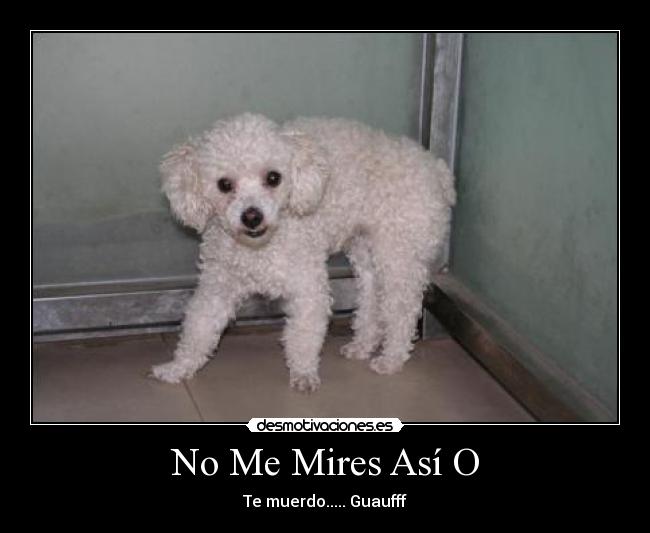 carteles aww cosita mas linda desmotivaciones