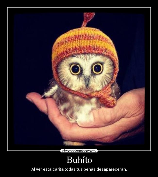 Buhíto - Al ver esta carita todas tus penas desaparecerán.