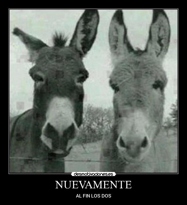 NUEVAMENTE -