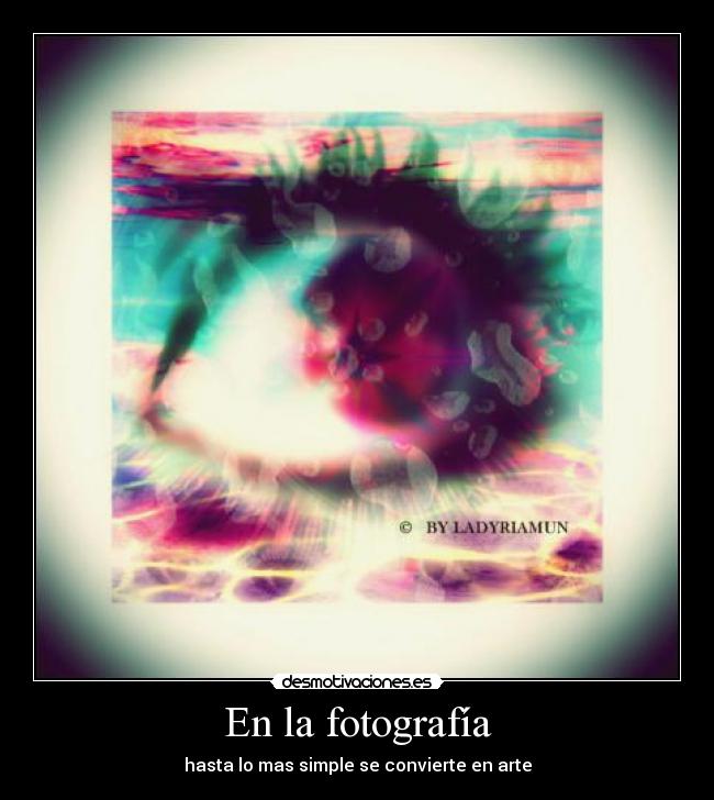 En la fotografía - hasta lo mas simple se convierte en arte